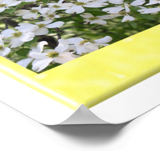 Legende des Dogwood Tree Poster (Ecke)