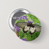 Legende des Schmetterlings-Knopfes Button (Vorne & Hinten)