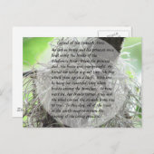 Legende des spanischen Moos Postkarte (Vorne/Hinten)