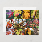 Legends of the Fall Poetry Card Postkarte (Vorne/Hinten)