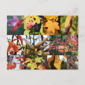 Legends of the Fall Poetry Card Postkarte