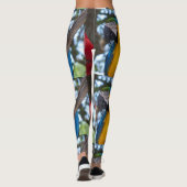 Leggings (Rückseite)