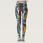 Leggings (Vorderseite)