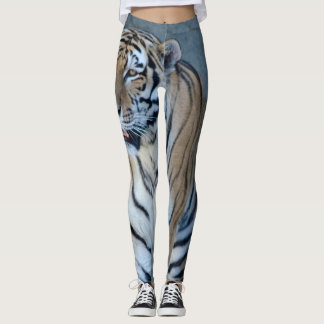Leggings des sibirischen Tigers