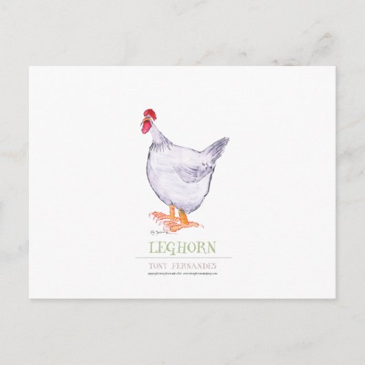 LEGHORN HEN, tony fernandes Postkarte (Vorderseite)