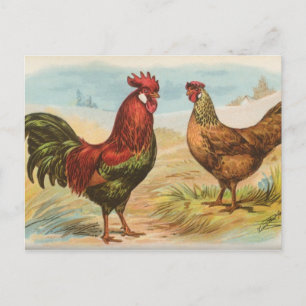 Leghörner Postkarte