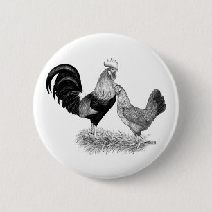 Leghornproduktion Braunhühner Button