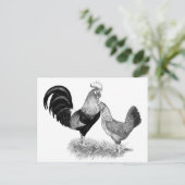 Leghornproduktion Braunhühner Postkarte (Stehend Vorderseite)