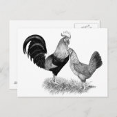 Leghornproduktion Braunhühner Postkarte (Vorne/Hinten)