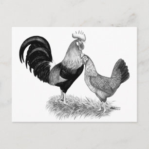 Leghornproduktion Braunhühner Postkarte