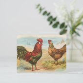 Leghorns Postkarte (Stehend Vorderseite)