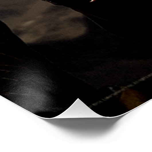 LEGOLAS GREENLEAF™ Character Poster 2 (Ecke)