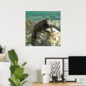 Leguan auf den Felsen in St. Thomas Poster (Heimbüro)