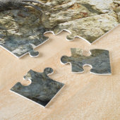 Leguan auf den Felsen in St. Thomas Puzzle (Seite)