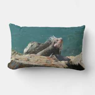 Leguan auf St. Thomas Lendenkissen