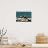 Leguan auf St. Thomas Poster (Küche)