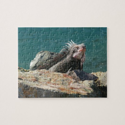 Leguan auf St. Thomas Puzzle (Horizontal)