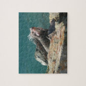 Leguan auf St. Thomas Puzzle (Vertikal)