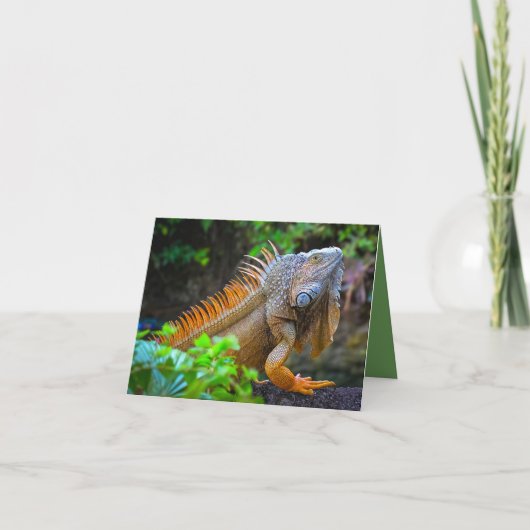 "Leguan" Dankeskarte (Vorderseite)