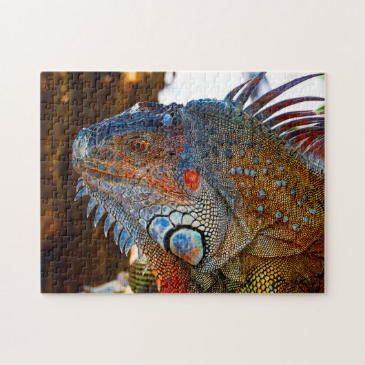 Leguan-Echse Florida Puzzle (Horizontal)
