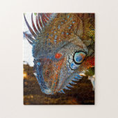 Leguan-Echse Florida Puzzle (Vertikal)