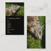 Leguan-Eidechse Visitenkarte (Vorne/Hinten)