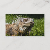 Leguan-Eidechse Visitenkarte (Rückseite)