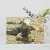 Leguan-Eidechsen-Einladung Einladung (Stehend Vorderseite)