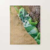 Leguan-Foto-Puzzlespiel Puzzle (Vertikal)