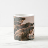Leguan-Insel Kaffeetasse (Mittel)