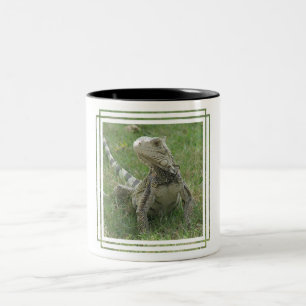 Leguan-Kaffee-Tasse Zweifarbige Tasse