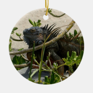 Leguan Keramikornament