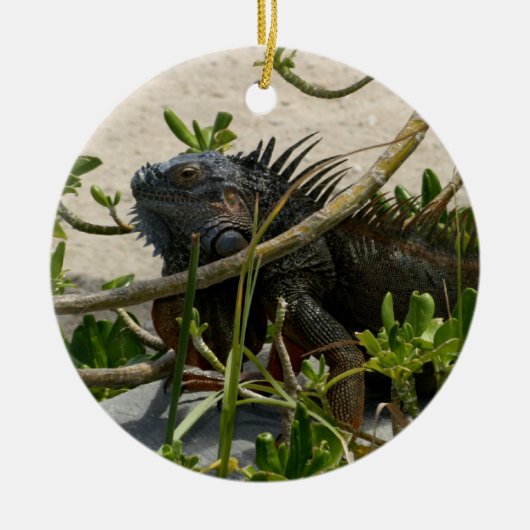 Leguan Keramikornament (Vorne)