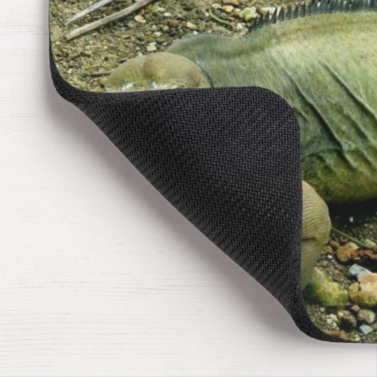 Leguan Mousepad (Ecke)