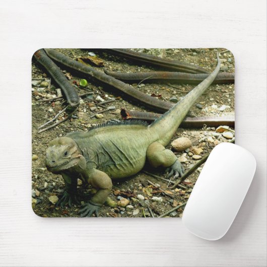 Leguan Mousepad (Mit Mouse)