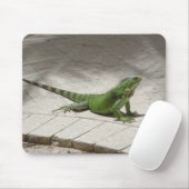 Leguan mousepad (Mit Mouse)