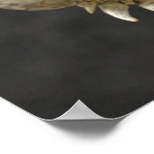 Leguan Poster (Ecke)