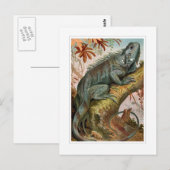 Leguan Postkarte (Vorne/Hinten)