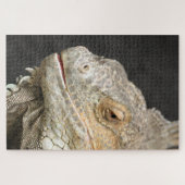 Leguan Puzzle (Horizontal)
