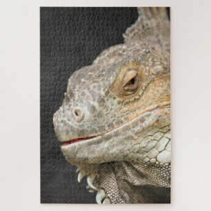 Leguan Puzzle