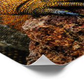 Leguan Reptil Kunst Poster (Ecke)