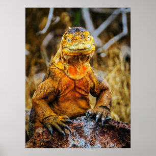 Leguan Reptil Kunst Poster