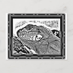 Leguan schwarz/weiß postkarte