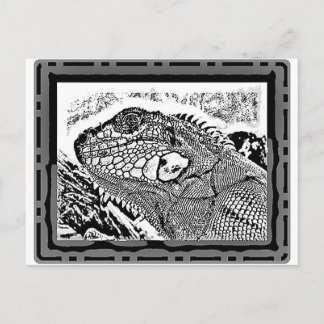 Leguan schwarz/weiß postkarte