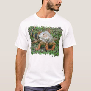 Leguan Shirt
