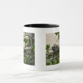 Leguan Tasse (Zentrum)