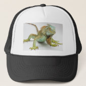 Leguan Truckerkappe (Vorderseite)