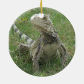 Leguan-Verzierung Keramik Ornament (Hinten)