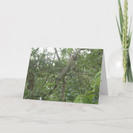 Leguangrußkarte (Version abnehmend) Karte