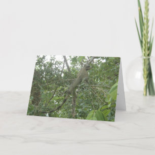 Leguangrußkarte (Version abnehmend) Karte